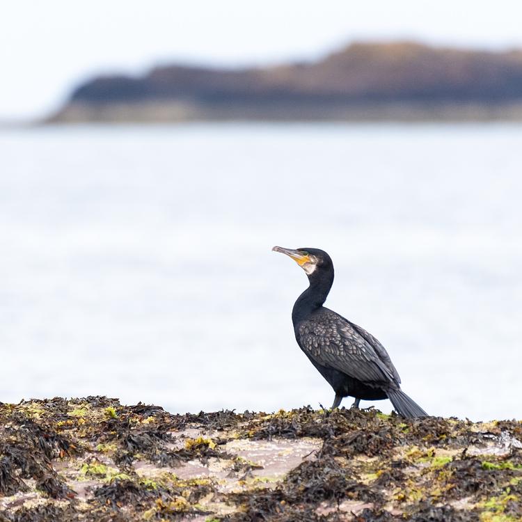 Legal and policy framework photo