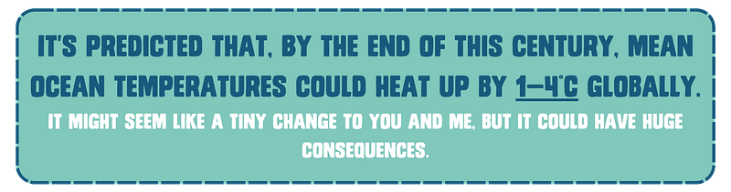 It‘s predicted that, By the end of this century, mean ocean temperatures could heat up by 1—4°C globally. It might seem like a tiny change to you and me, but it could have huge consequences