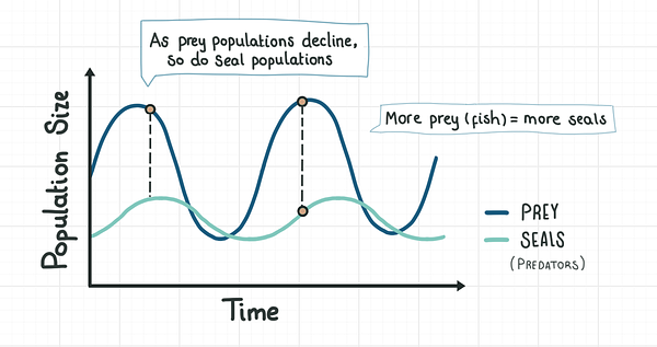 Graph showing predator prey populations cycle