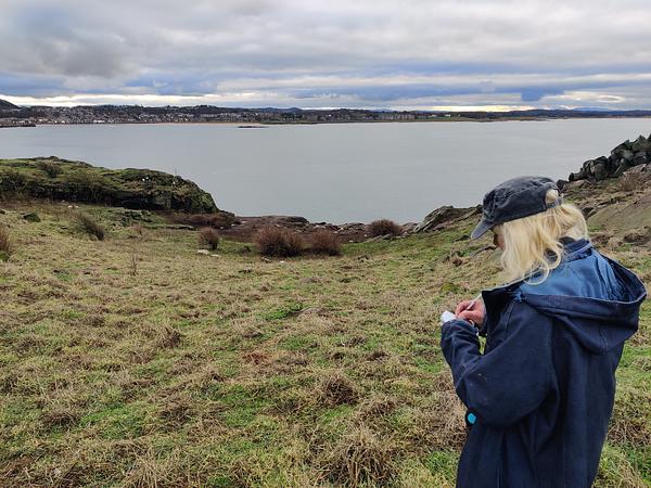 A surveyor makes notes from afar as dozens of seals are lying down in the distance with their pups on the island of Craigleith
