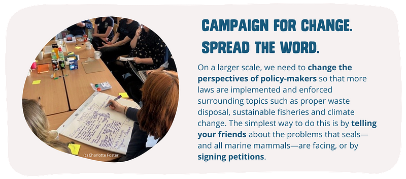 Campaign for change & spread the word. On a larger scale, we need to change the perspectives of policy-makers so that more laws are implemented and enforced surrounding topics such as proper waste disposal, sustainable fisheries and climate change. The simplest way to do this is by telling your friends, making people aware of the problems that seals—and the majority of marine mammals—are facing, or by signing petitions.