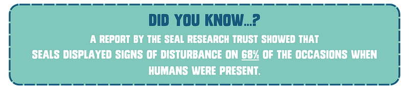 Did you know…? A study showed that on 68% of occasions when humans were present, seals displayed signs of disturbance.