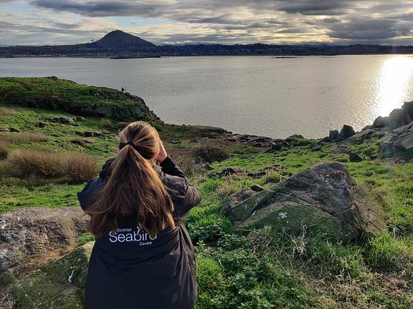 SSC Senior Conservation Officer Emily Burton sits on a high outcrop on Craigleith island and uses binoculars to count seal pups lower down the island from a distance. North Berwick and the Law are prominent in the distance