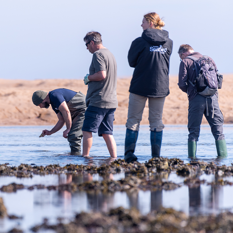 What is Citizen Science? photo