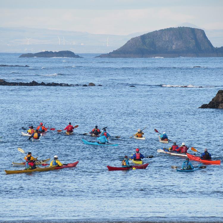 Island Biosecurity  photo