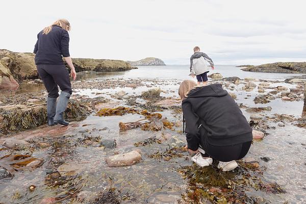 Three young people search the rockpools around North Berwick, with Craigleith island visible in the background