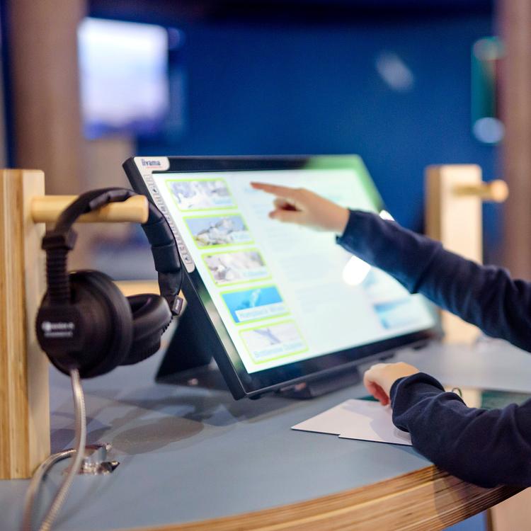 Online Projects photo