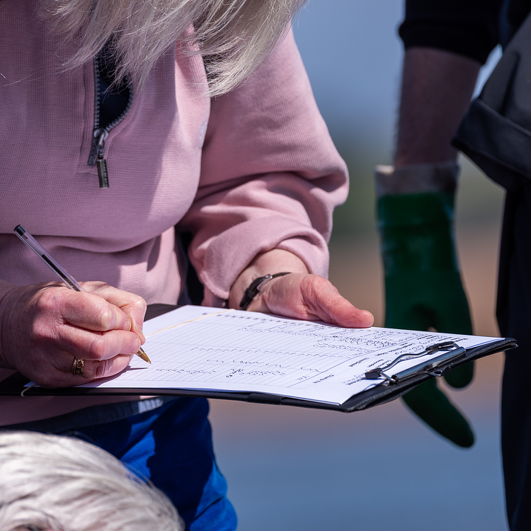 Recording Wildlife photo