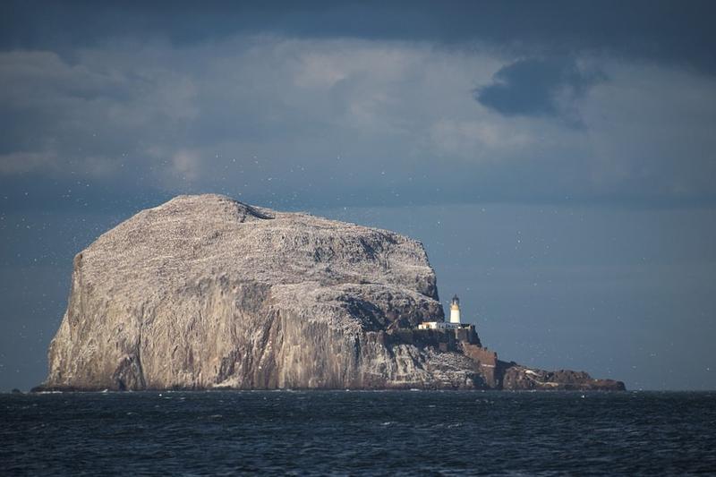 The Bass Rock on a dark sea against a stormy sky, with gannets (little white specks from this vantage) speckling the air above.