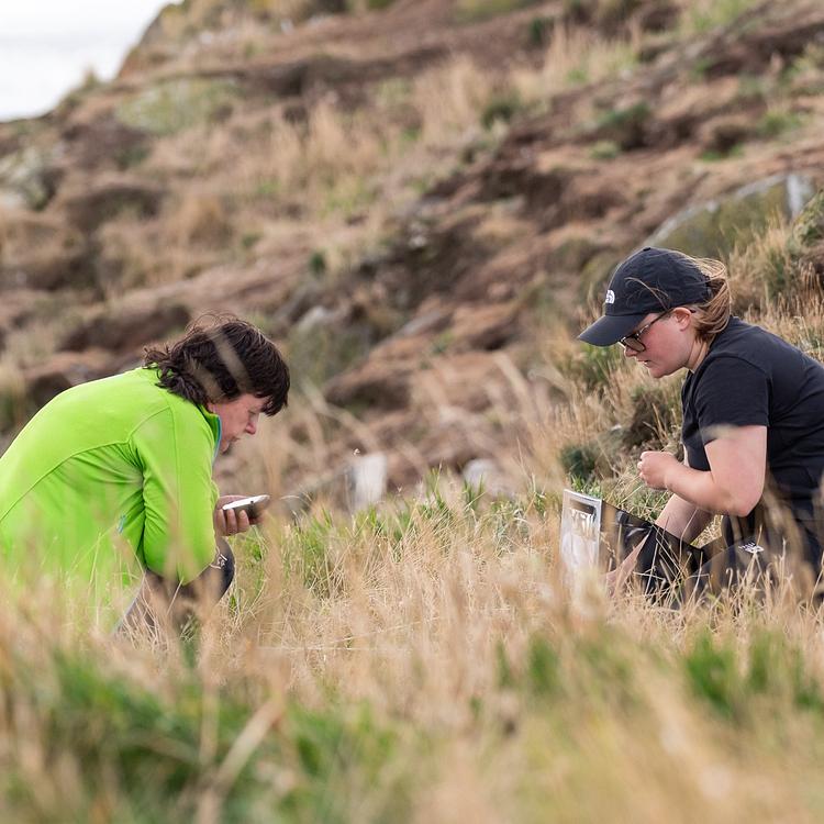 SOS Puffin: Research and Guidance photo