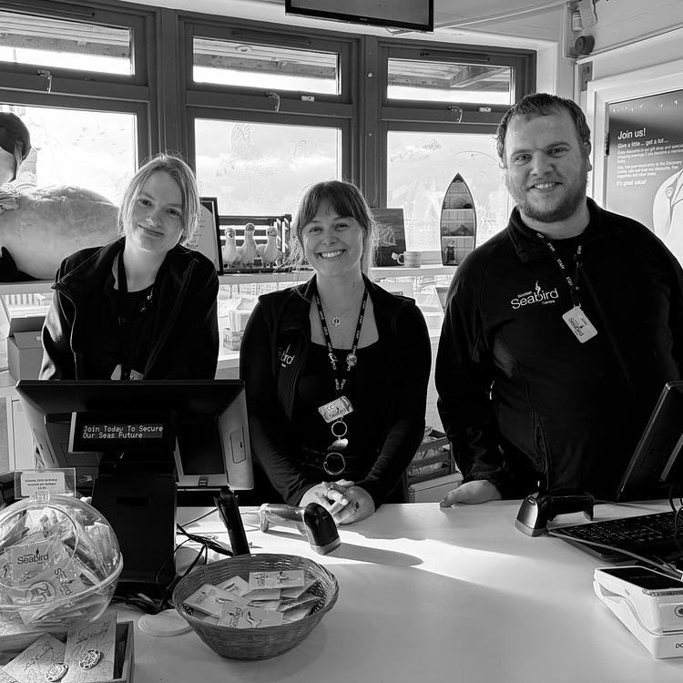 Visitor Experience Team photo